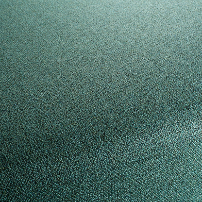 Chivasso Bonsai Reboot Colour 29