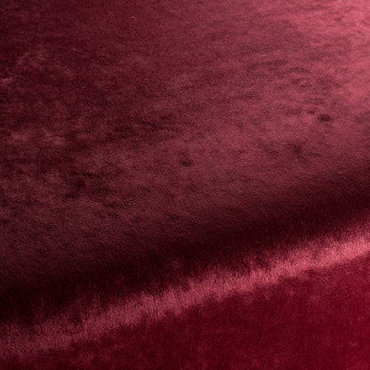 Chivasso Gangster Colour 36