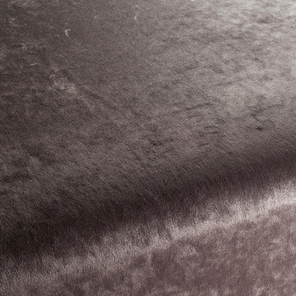 Chivasso Gangster Colour 43