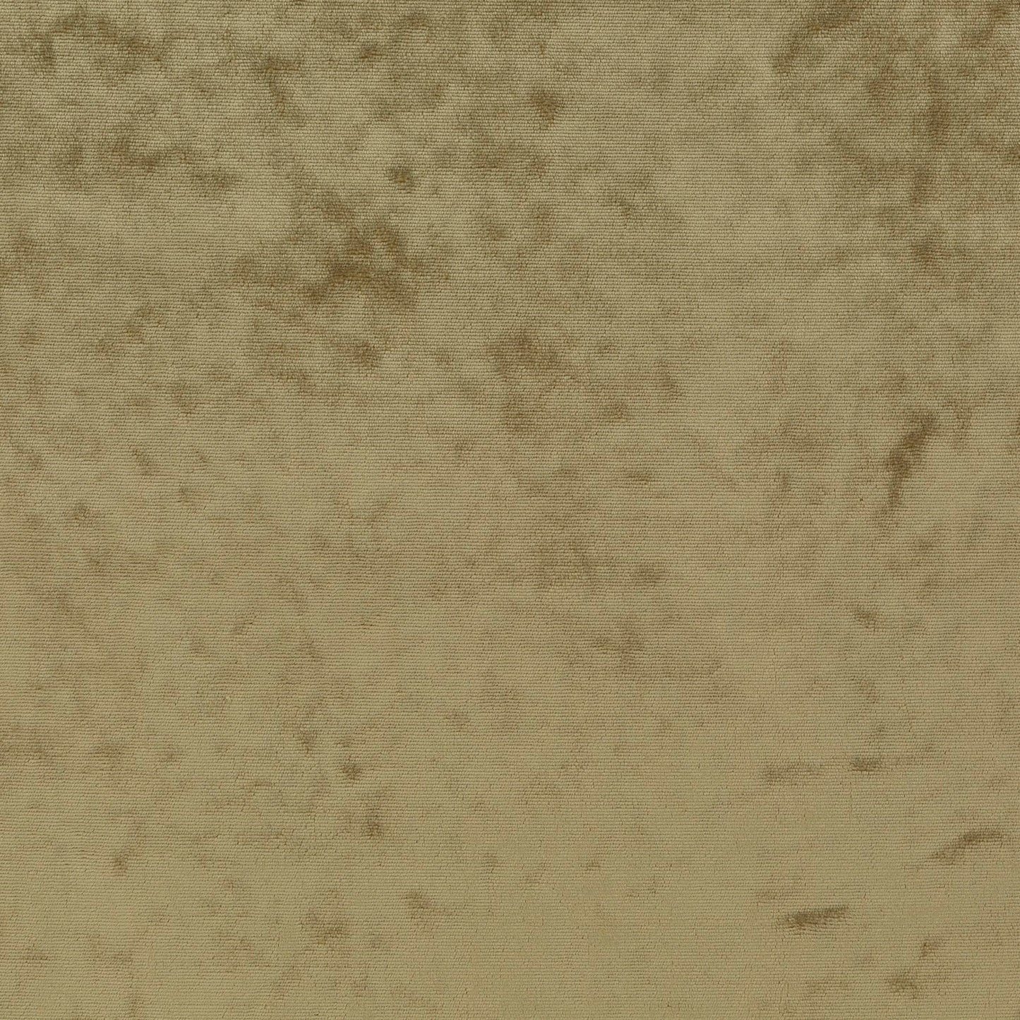 Chivasso Gangster Colour 8