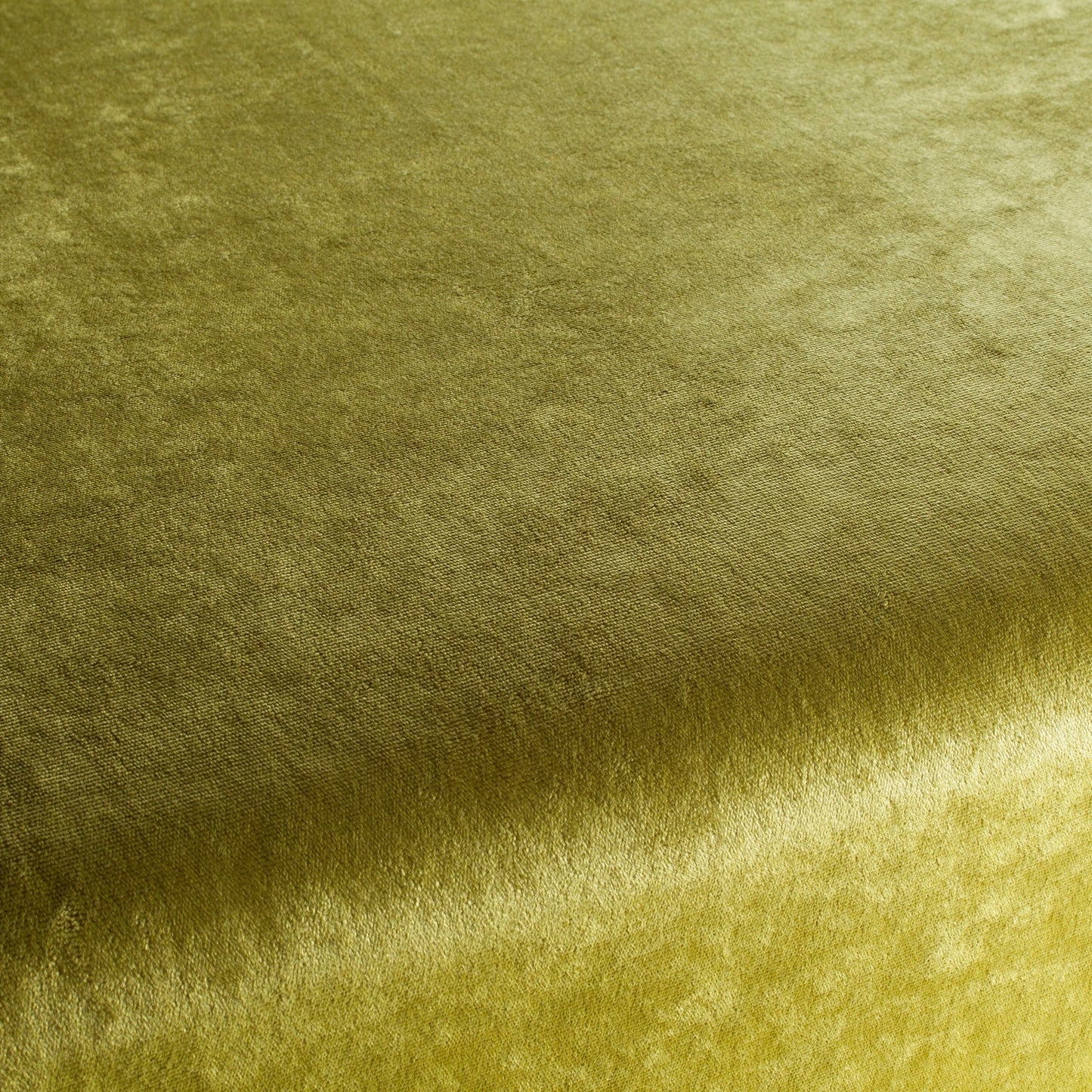 Chivasso Gangster Colour 10