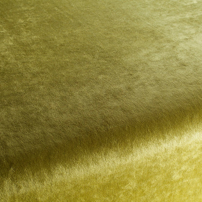 Chivasso Gangster Colour 10