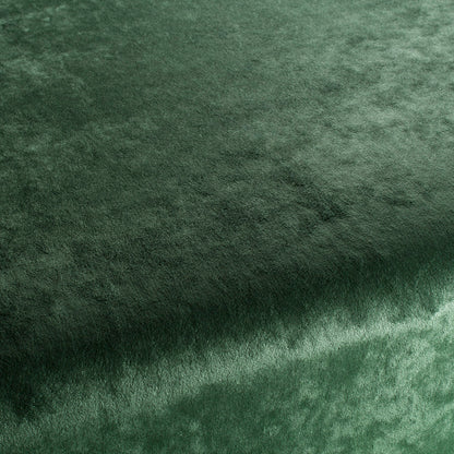 Chivasso Gangster Colour 13