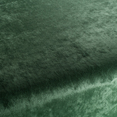 Chivasso Gangster Colour 13