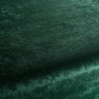 Chivasso Gangster Colour 16