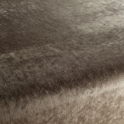 Chivasso Gangster Colour 12