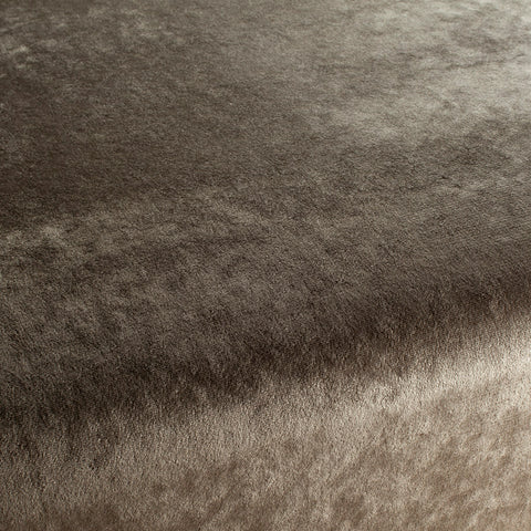 Chivasso Gangster Colour 12