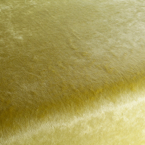 Chivasso Gangster Colour 6