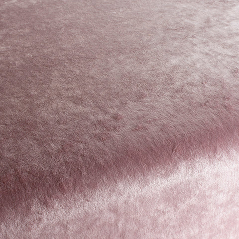 Chivasso Gangster Colour 30