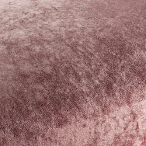 Chivasso Gangster Colour 33