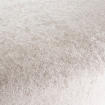 Chivasso Gangster Colour 1