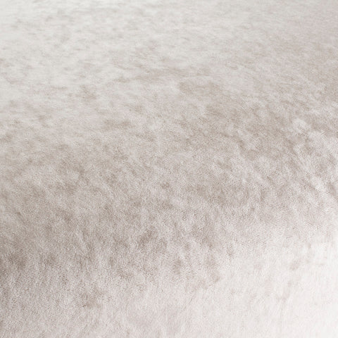 Chivasso Gangster Colour 1