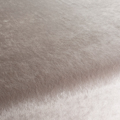 Chivasso Gangster Colour 2