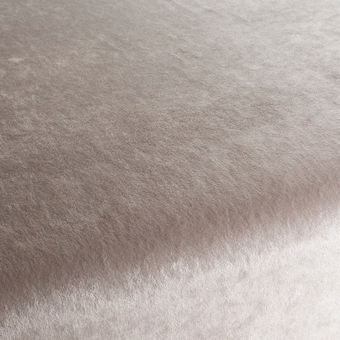 Chivasso Gangster Colour 2