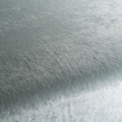 Chivasso Gangster Colour 7