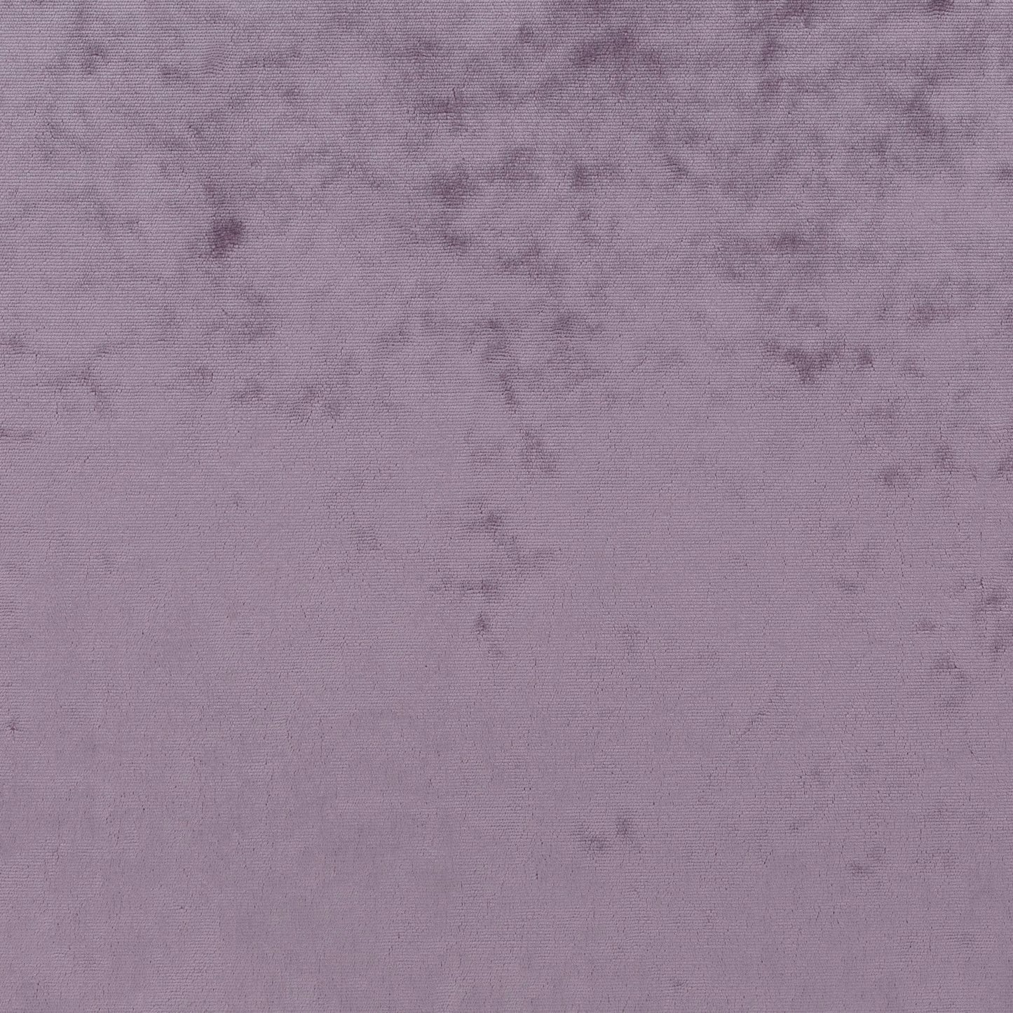 Chivasso Gangster Colour 25