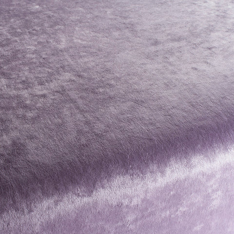 Chivasso Gangster Colour 25