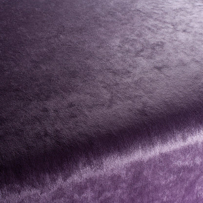 Chivasso Gangster Colour 27