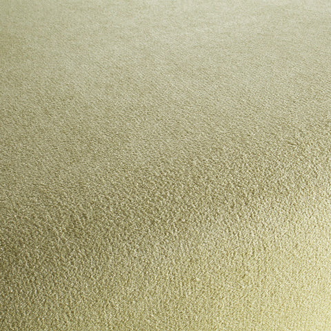 Chivasso Gamechanger Colour 6