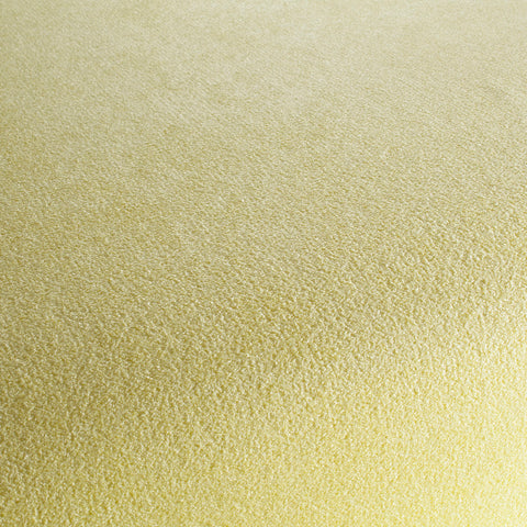 Chivasso Gamechanger Colour 5