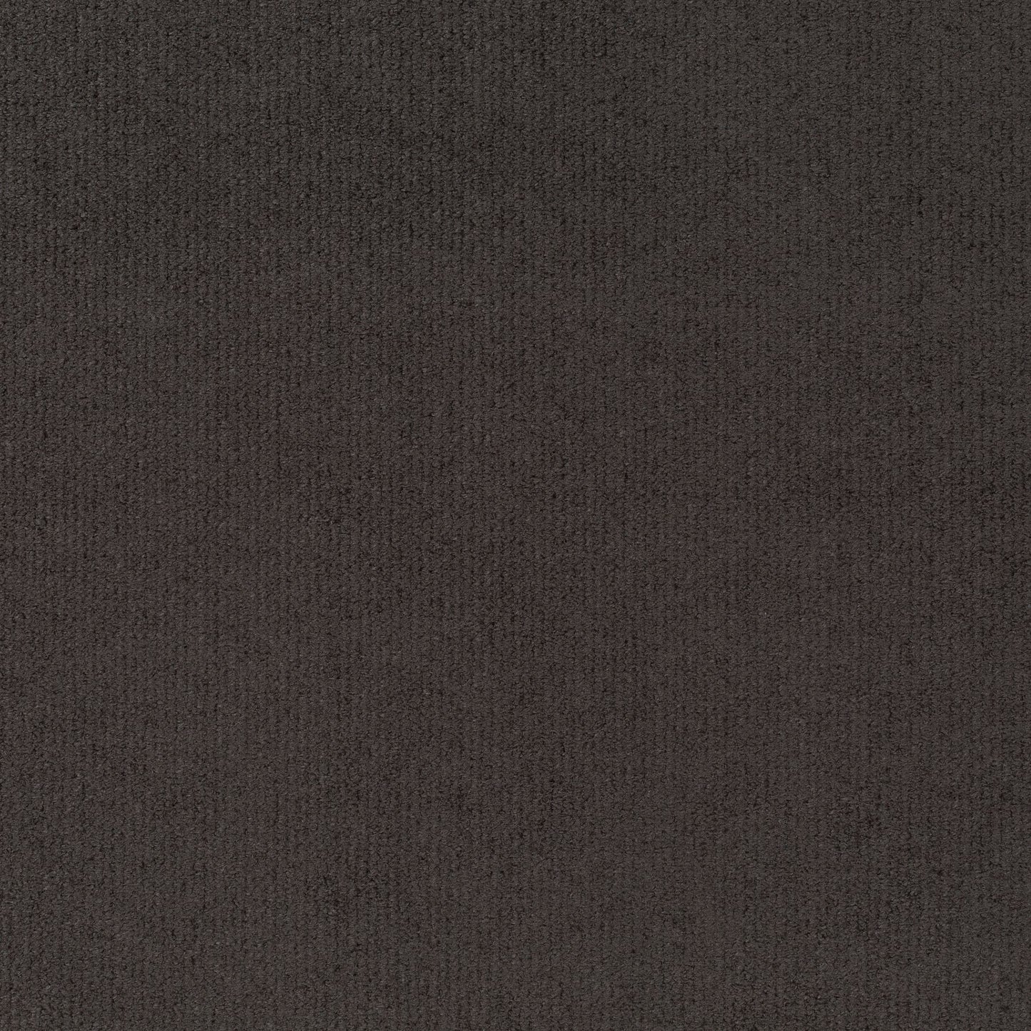 Chivasso Gamechanger Colour 38