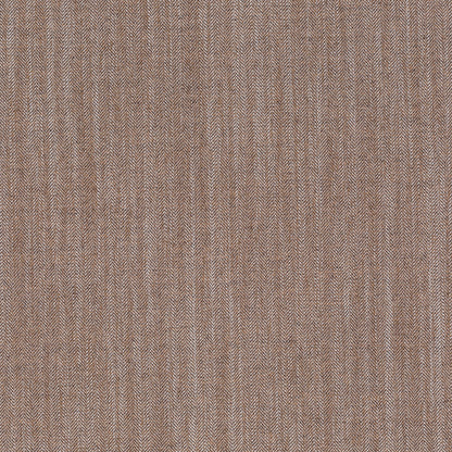 Chivasso New World Colour 15