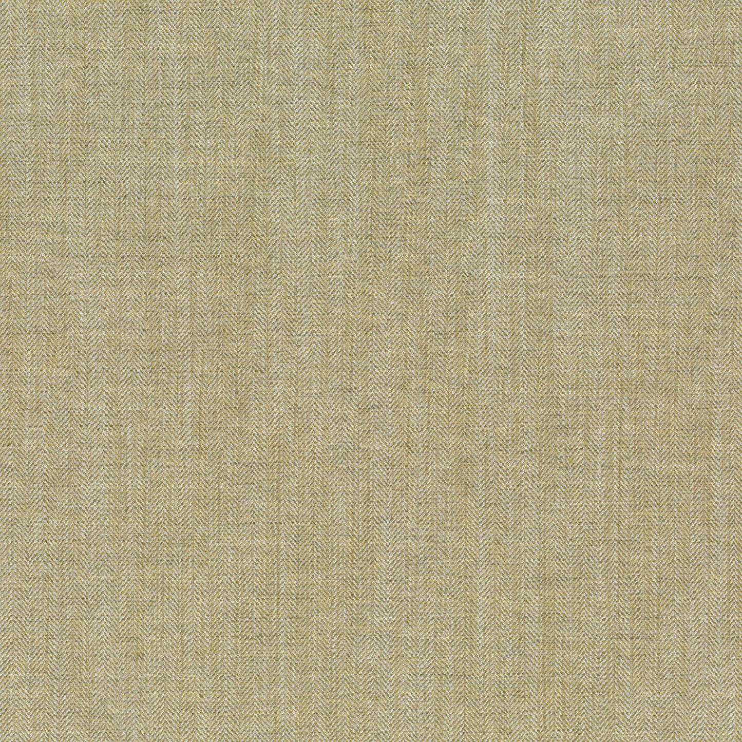 Chivasso New World Colour 6