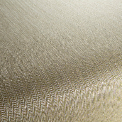 Chivasso New World Colour 6
