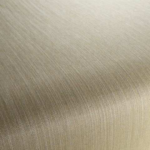 Chivasso New World Colour 6