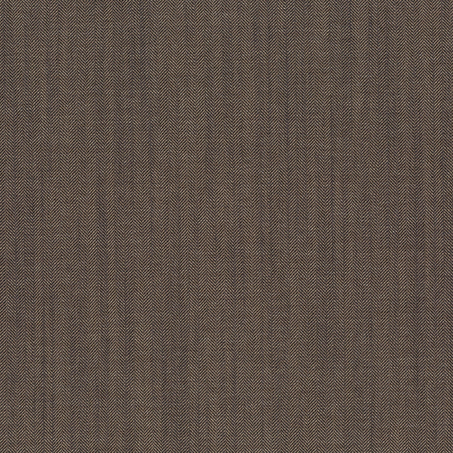 Chivasso New World Colour 19