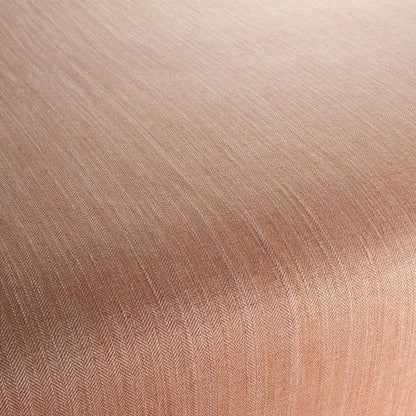 Chivasso New World Colour 14
