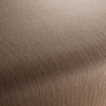 Chivasso New World Colour 5