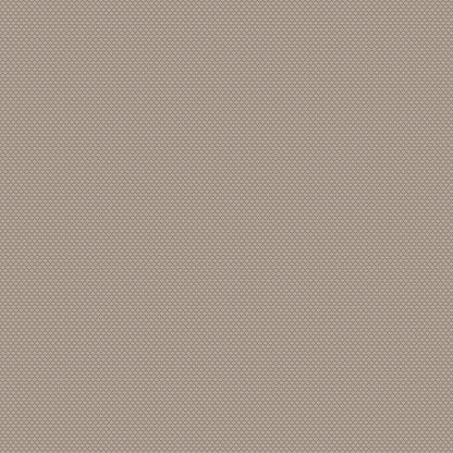 Chivasso New Chapter Colour 4