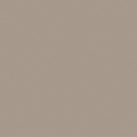 Chivasso New Chapter Colour 4