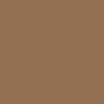 Chivasso New Chapter Colour 14