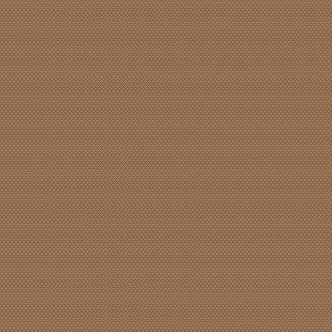 Chivasso New Chapter Colour 14