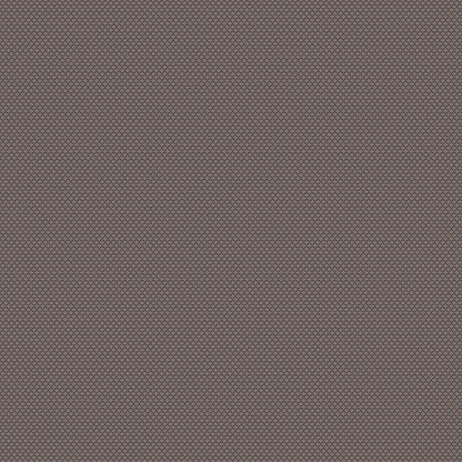 Chivasso New Chapter Colour 12