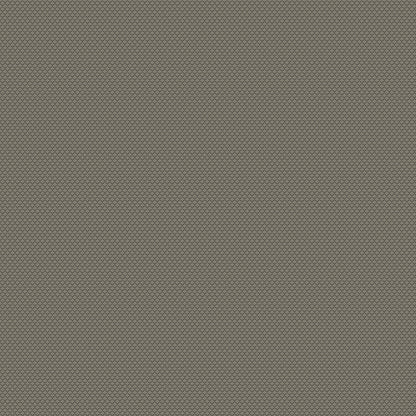 Chivasso New Chapter Colour 7