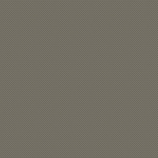 Chivasso New Chapter Colour 7