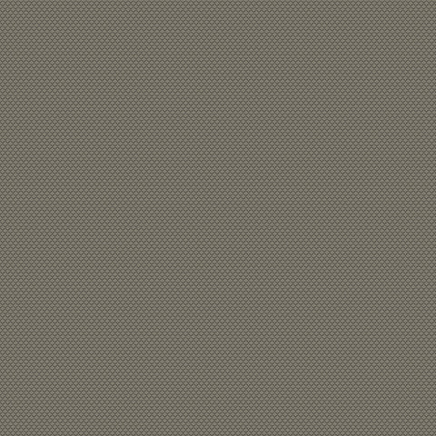 Chivasso New Chapter Colour 7