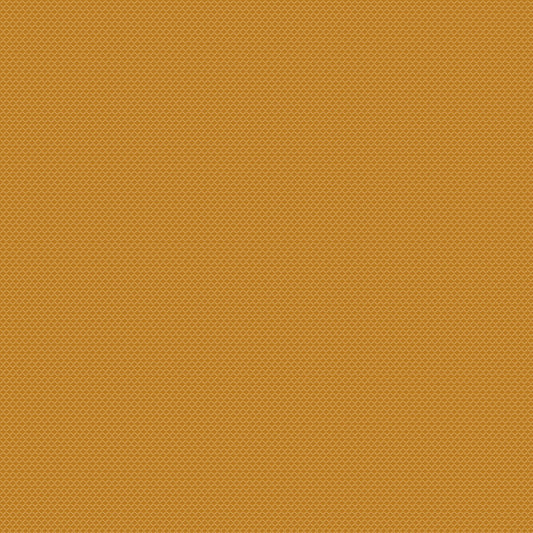 Chivasso New Chapter Colour 20