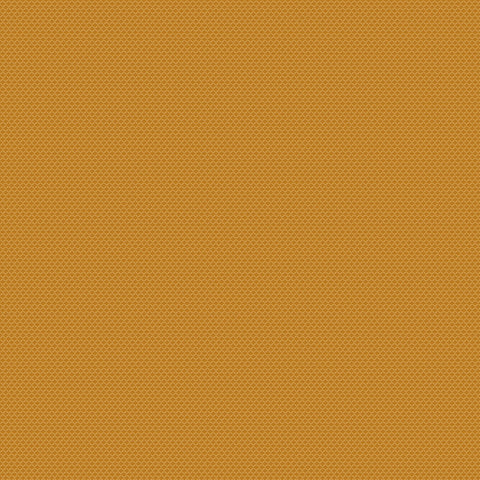 Chivasso New Chapter Colour 20