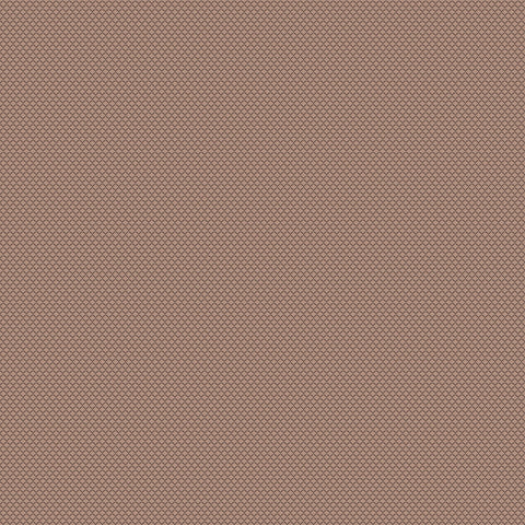 Chivasso New Chapter Colour 10