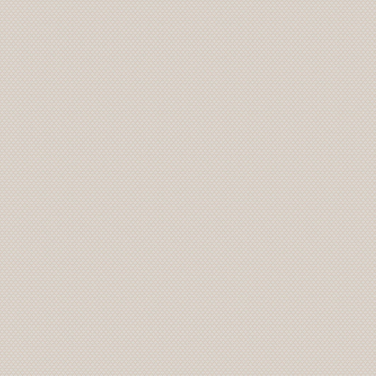 Chivasso New Chapter Colour 1