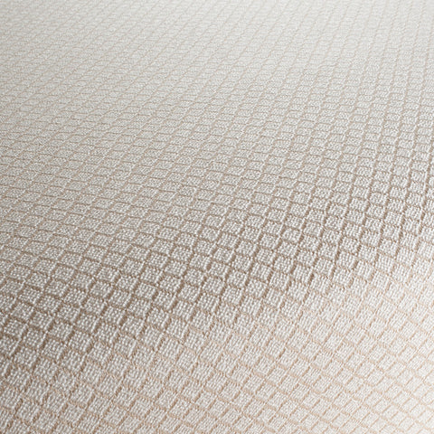 Chivasso New Chapter Colour 1