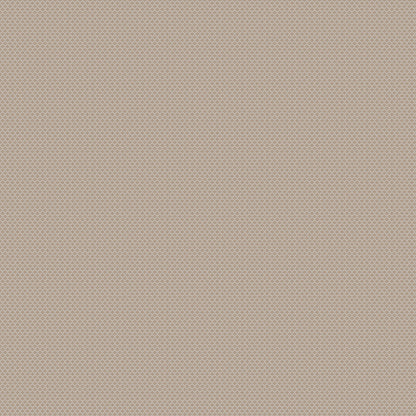 Chivasso New Chapter Colour 5