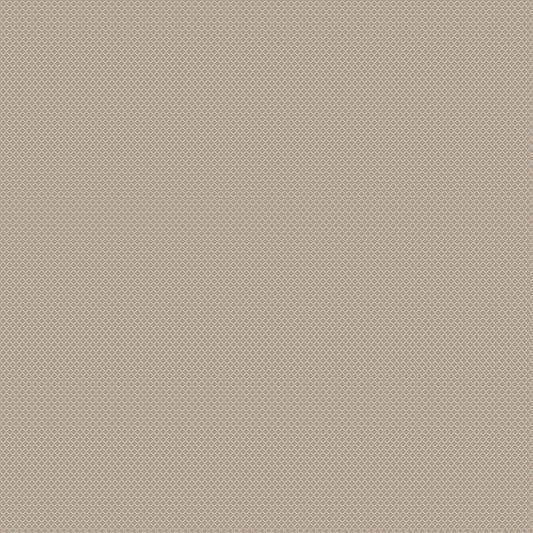 Chivasso New Chapter Colour 5