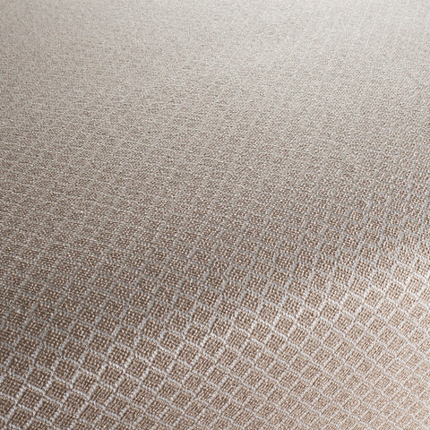 Chivasso New Chapter Colour 5