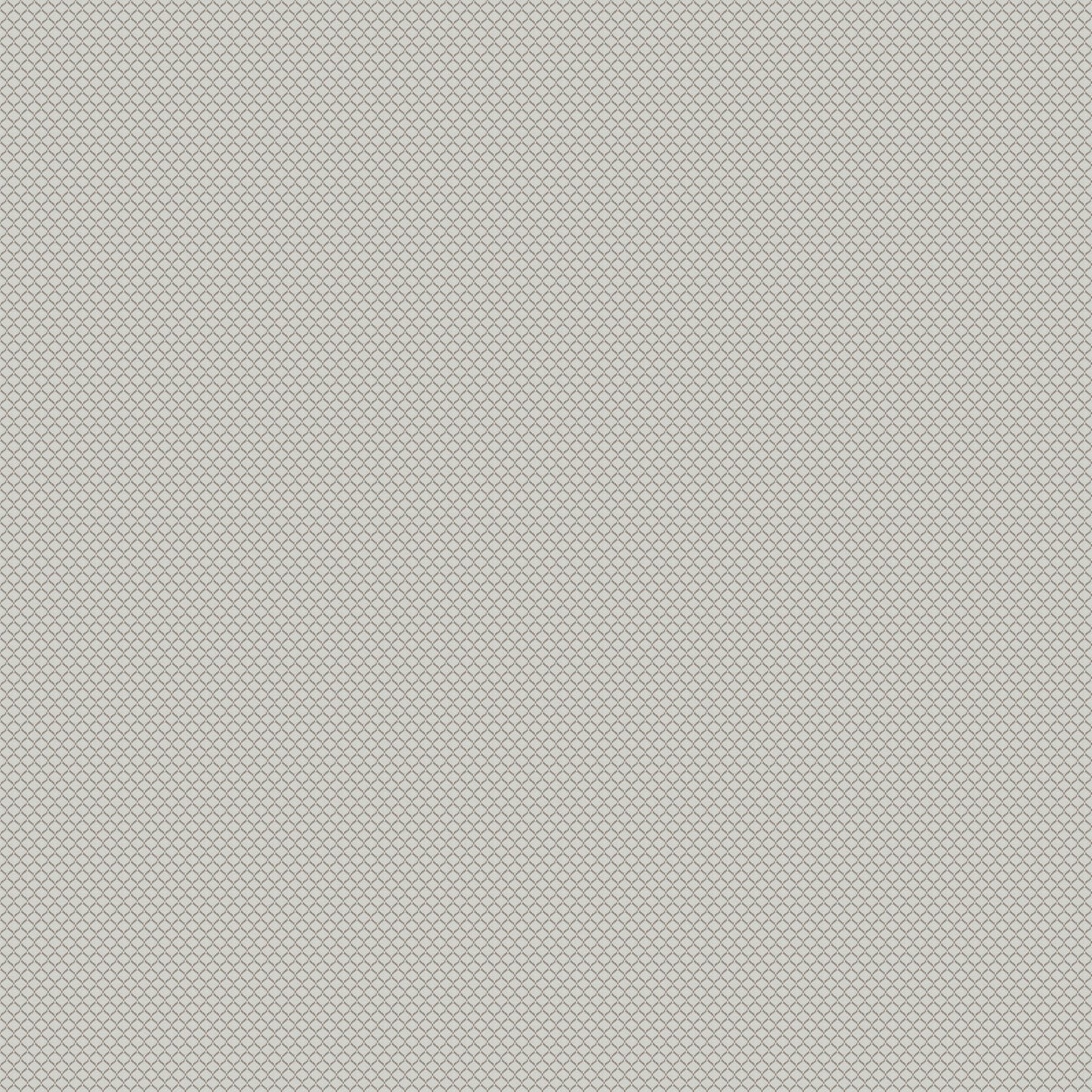 Chivasso New Chapter Colour 2