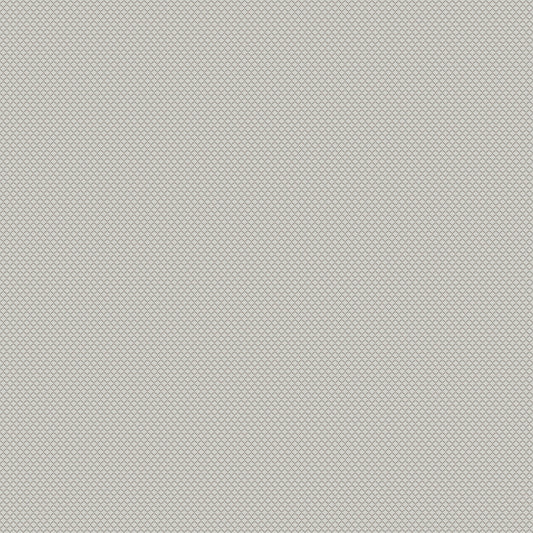 Chivasso New Chapter Colour 2